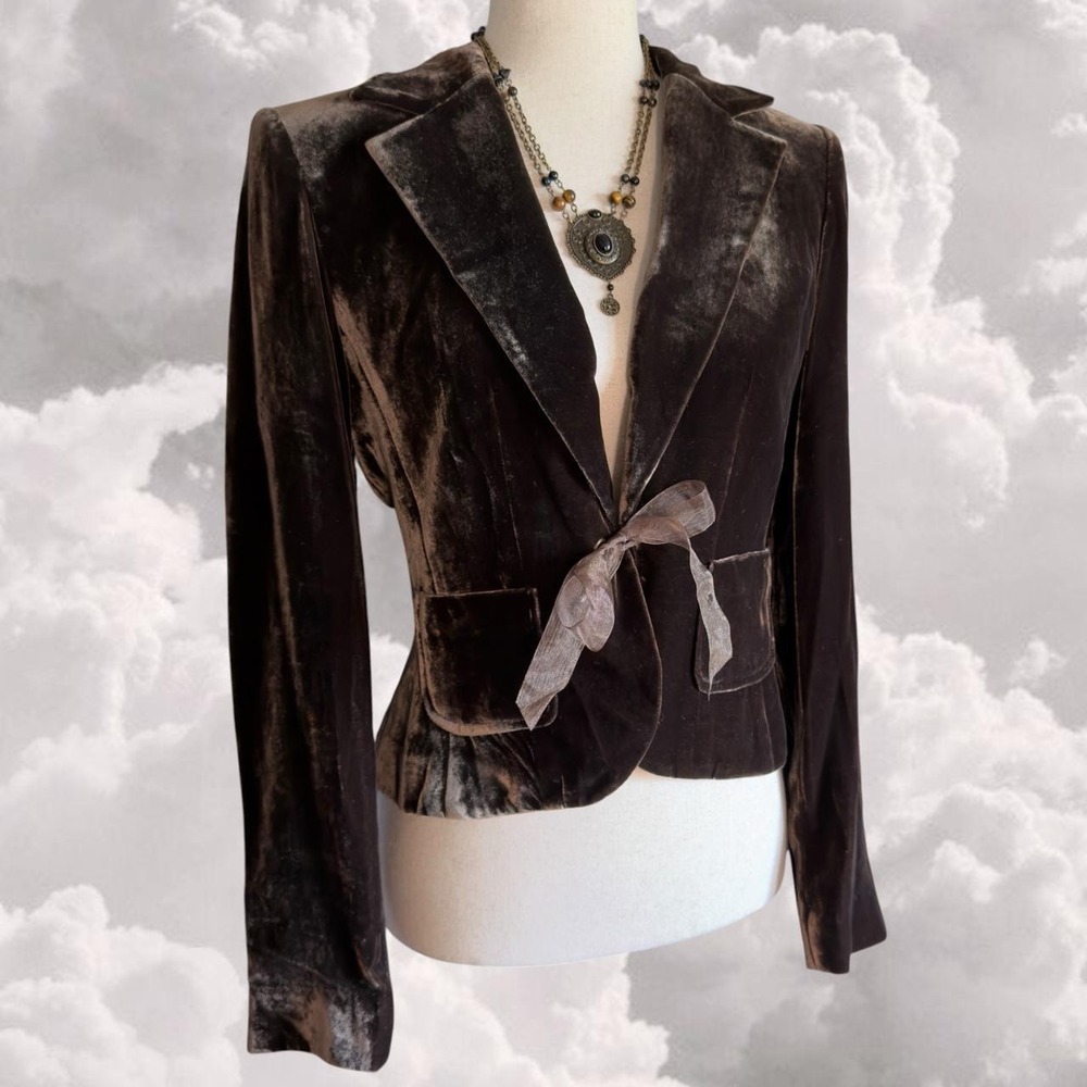 Vintage Brown Velvet Silk Whimsy Goth Brown Blazer Jacket size 4